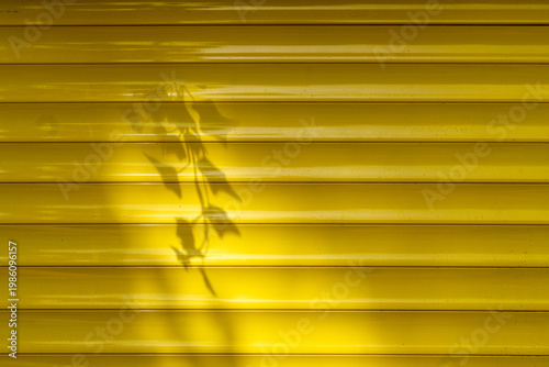 Shadow of a leaf branch on a bright yellow corrugated metal shutter.
