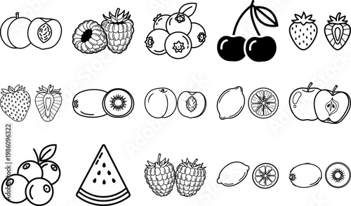 A collection of various fruit illustrations in line art style on white background