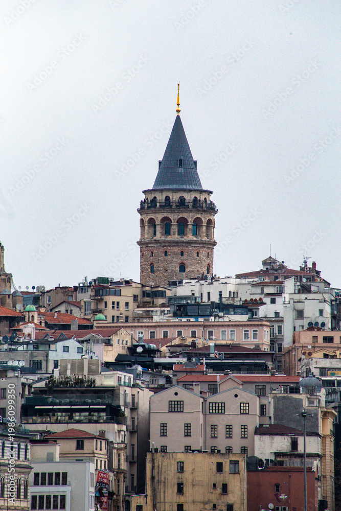 Fototapeta premium The Gallat Tower in January