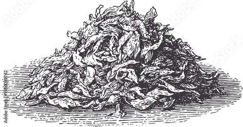 Dried tea leaves pile detailed black and white engraved illustration with textured shading