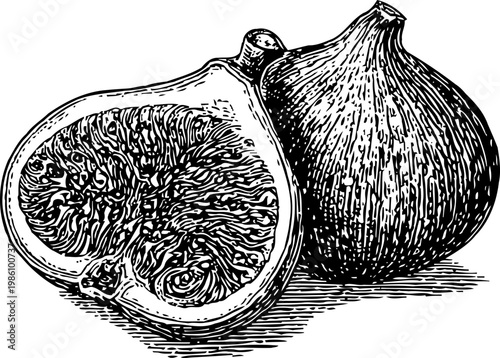 Detailed black and white drawing of whole and halved figs with visible texture and seeds