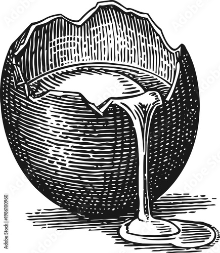 Cracked eggshell with flowing raw egg yolk dripping from broken edge detailed vintage engraving design