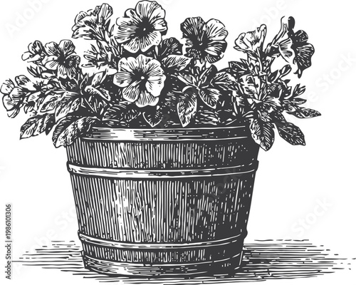 Potted flowering plant with detailed leaves and blooms in rustic wooden bucket illustration
