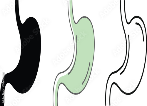 Human Stomach Internal Organ Vector Icon Set Featuring Solid Black Outline and Green Color Fill Styles for Medical Anatomy and Healthcare Educational Designs