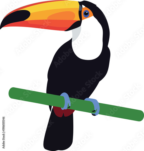 Toucan perched on green branch with colorful beak bird