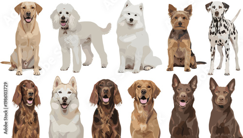 Set of realistic dog breed portraits and full body illustrations isolated on white background for pet design