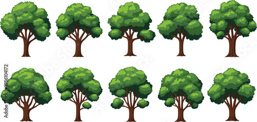 Tall mature trees vector set large green canopy collection isolated on white background