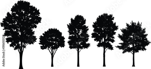 Tree silhouettes set, forest deciduous trees collection, nature landscape illustration, woodland design elements, black isolated vector graphic concept