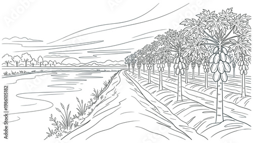Rural landscape with papaya trees, lake, and dirt road, line art illustration on white background.