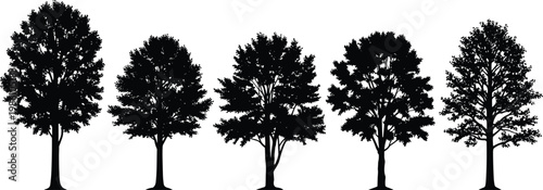 Tree silhouette collection, forest deciduous trees set, nature landscape illustration, woodland design elements, black isolated vector graphic concept