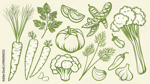 A colorful sketch of fresh vegetables and herbs arranged on a beige background