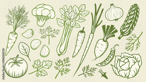 Botanical illustration of various fresh vegetables and leafy greens