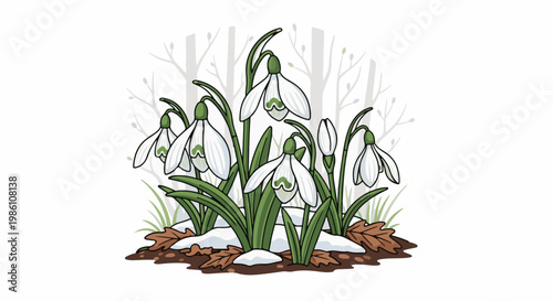 Delicate snowdrops emerge from winter's last snow among fallen leaves