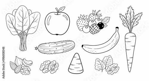 Healthy Foods Collection Fruits, Vegetables, Nuts, and Berries
