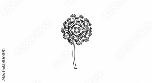 Delicate line art drawing of a dandelion seed head on a thin stem