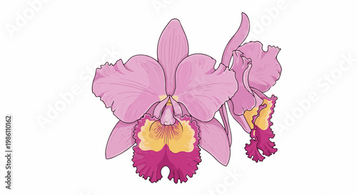 Delicate pink orchids with ruffled petals and yellow centers bloom