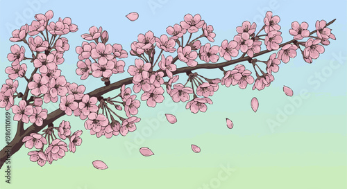Delicate pink cherry blossoms bloom on a branch against a pale sky