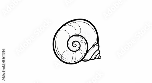 Detailed line drawing of a spiraled snail shell on a white background