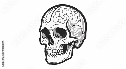 Detailed monochrome illustration of a human skull with brain exposed