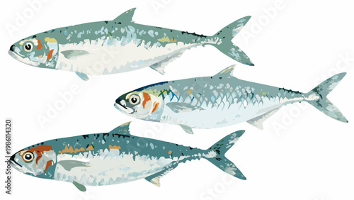 Three colorful fish swim in a stylized illustrative design