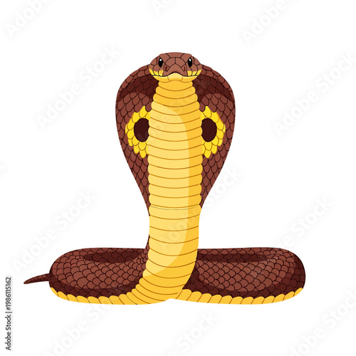 Illustration of a brown and yellow cobra snake with spread hood on white background