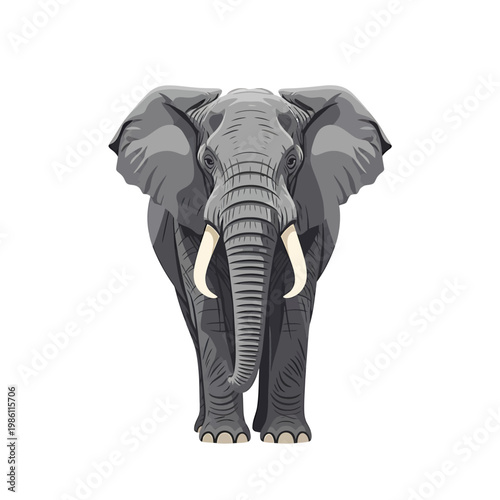 Illustration of a gray elephant facing forward with large ears and tusks on a white background
