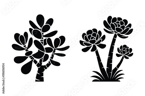 Succulent plants varieties silhouettes vector icon collection with succulent