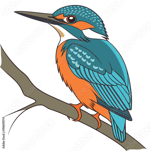 Illustration of a colorful common kingfisher bird perched on a tree branch