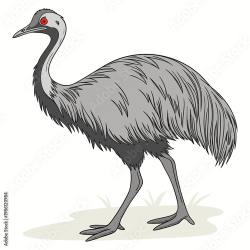 Illustration of an emu, a large flightless bird native to australia, depicted with grey feathers and a distinct red eye
