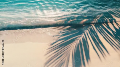 A silhouette of a palm tree on a beach at sunset