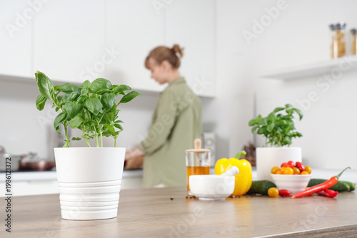 Fresh basil in pot on table...