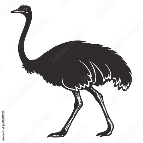 Silhouette of an emu bird standing, side view