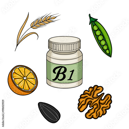 Vector illustration of Vitamin B1 sources: pill bottle, orange slice, peas, walnut, sunflower seed, and wheat