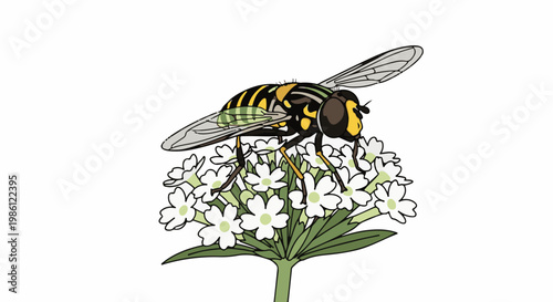 A striped insect with translucent wings rests on a cluster of small white flowers