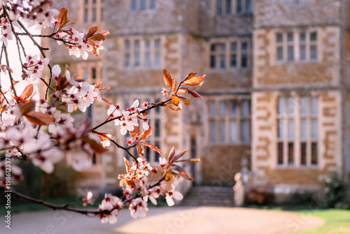 Spring Blossom In Front Of An English Country Manor House