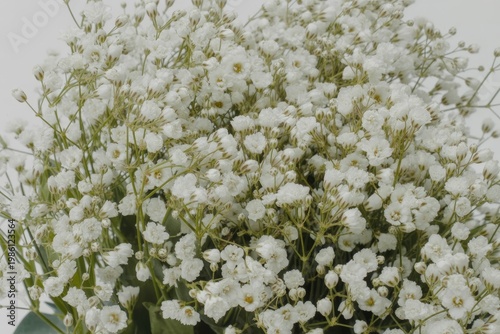 Full frame white floral pattern of tiny flowers ideal for wedding and design use