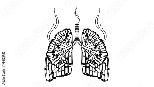Detailed illustration of human lungs with trachea and bronchi