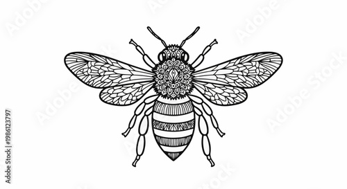Intricate linework illustration of a bee with decorative patterns
