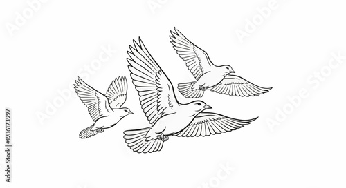 Three birds in flight, wings spread, soaring against a white background
