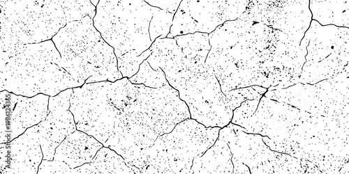 Photos Intricate crack pattern grunge texture black and white abstract background remin