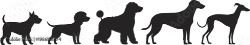 Dog breed silhouettes collection isolated on white background, various canine shapes including terrier, poodle, greyhound, and hound profiles