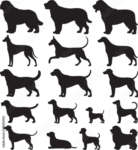 Diverse silhouettes of various dog breeds in dynamic poses