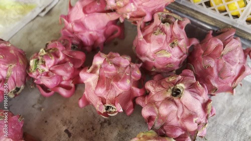 Close up of Organic Red Dragon Fruits with Pink Skin
