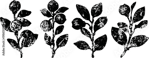 Rustic botanical silhouettes of four leafy branches with textured natural design elements