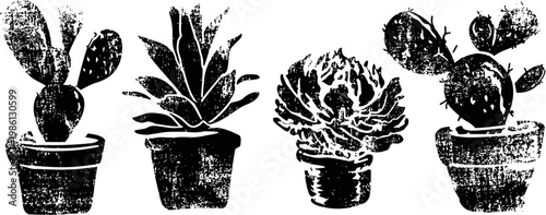 Four potted succulent plants set with textured black ink on white background