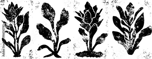Abstract black floral silhouettes on white background grunge textured botanical shapes in vertical arrangement