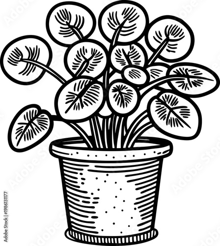 Pilea peperomioides houseplant in pot round leaves with visible veins, simple black outline botanical drawing