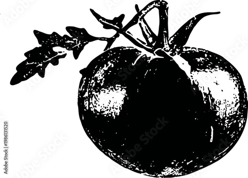 tomato with leaf and stem illustration, fresh organic vegetable, natural garden harvest