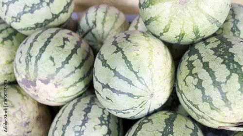 watermelon on the market