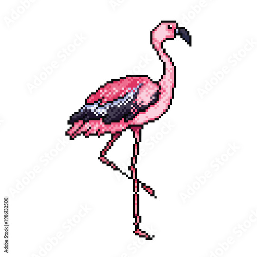 Flamingo bird pixel art colorful illustration isolated on square white background.